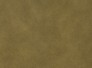 Granada Olive