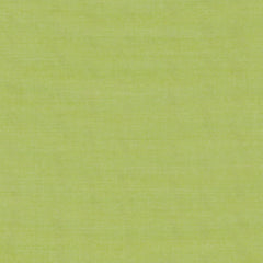 38D Lime leather