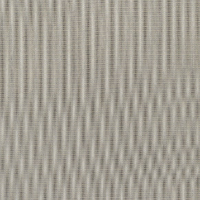 Augustine Oyster