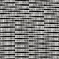 930_Titanium leather