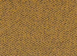 Taffie Yellow