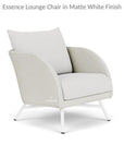 Essence Lounge Chair All Weather Wicker Furniture Lloyd Flanders - Uptown Sebastian